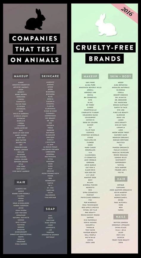does chanel test on animals 2024